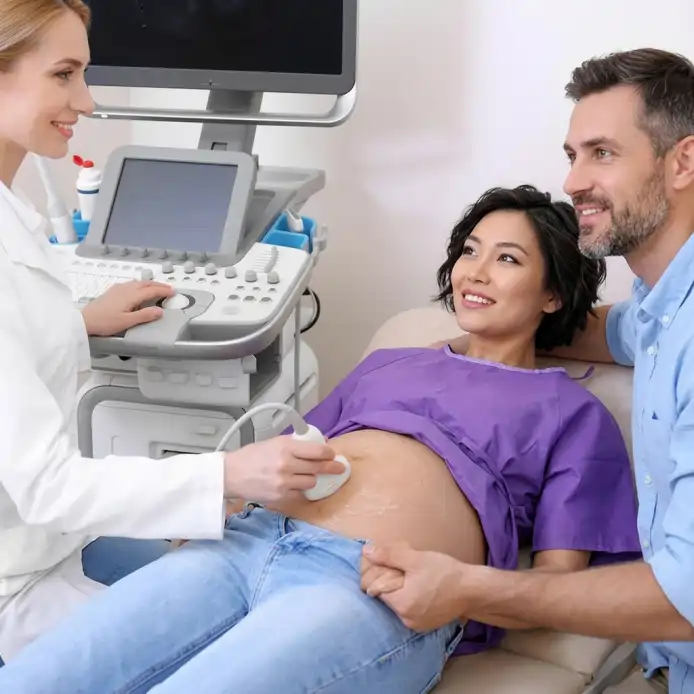 Pregnancy & Antenatal Care